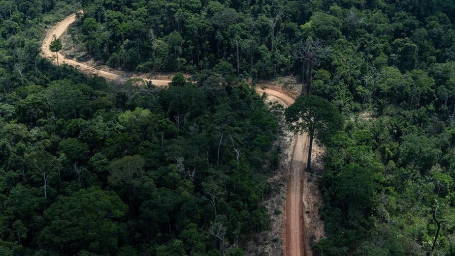 Estrada aberta em meio à floresta amazônica em Trairão, Pará