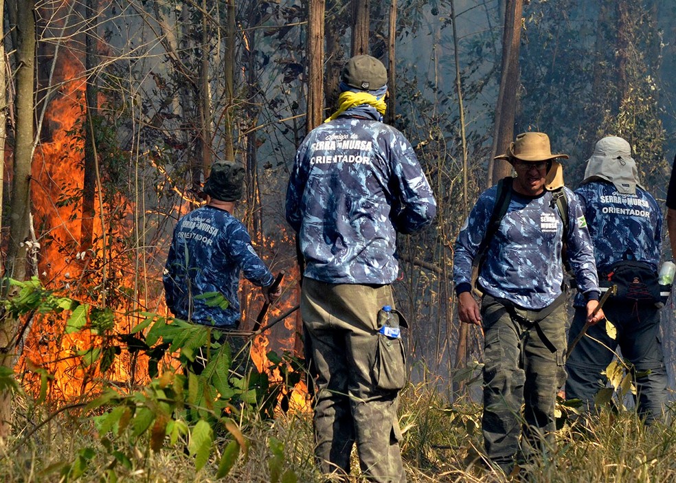 Poucas horas após o controle do incêndio na Serra do Mursa, em Várzea Paulista (SP), novos focos foram registrados. — Foto: Prefeitura Municipal de Várzea Paulista