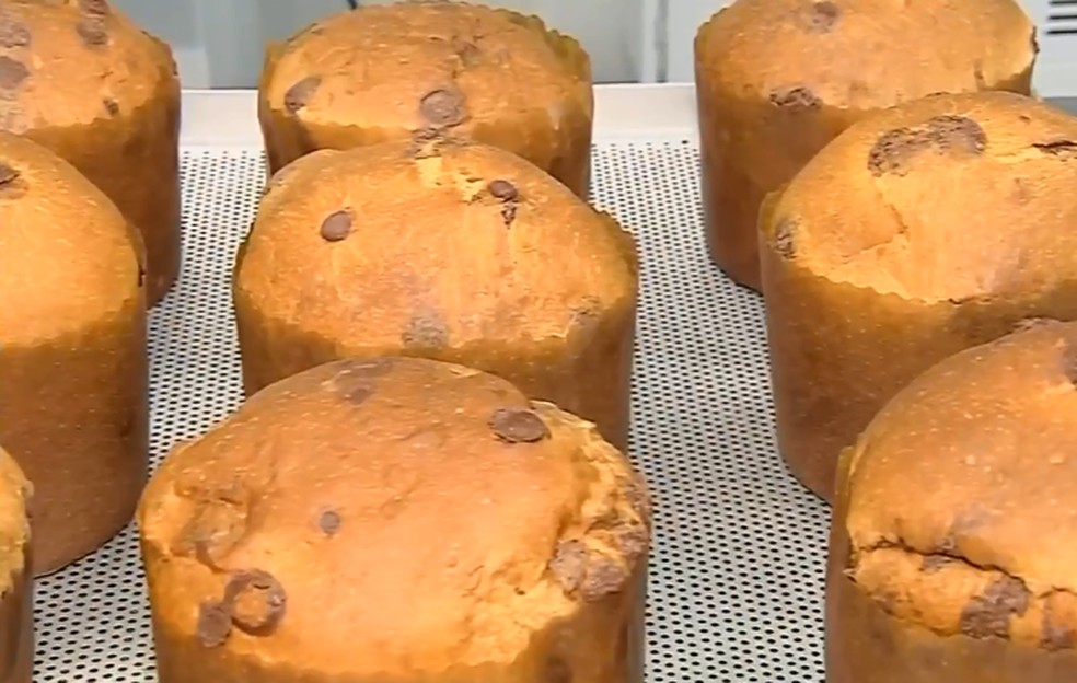 Festas de fim de ano e produção de panetones devem aumentar vendas de ovos — Foto: TV TEM/Reprodução