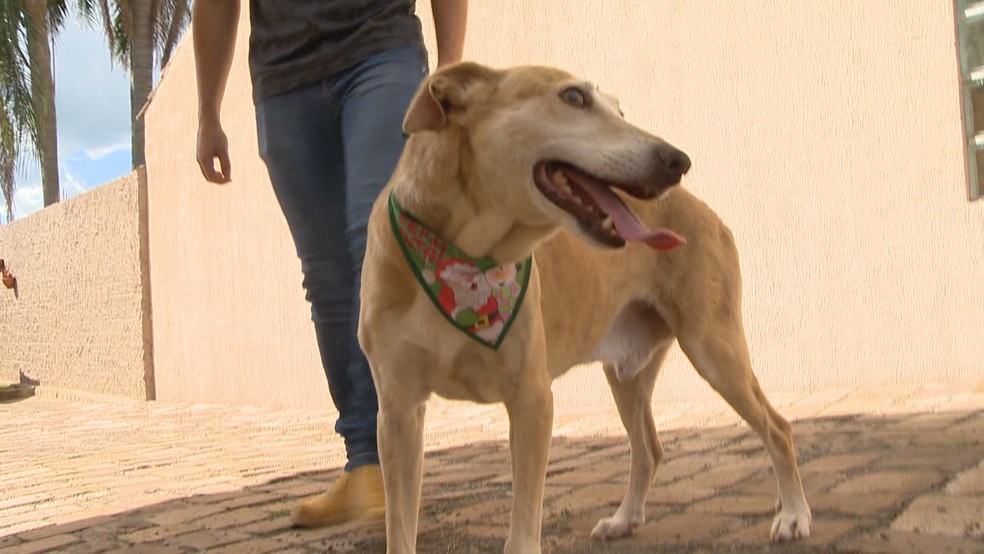 Sadan ficou tr&ecirc;s anos desaparecido &mdash; Foto: Reprodu&ccedil;&atilde;o / RBS TV 