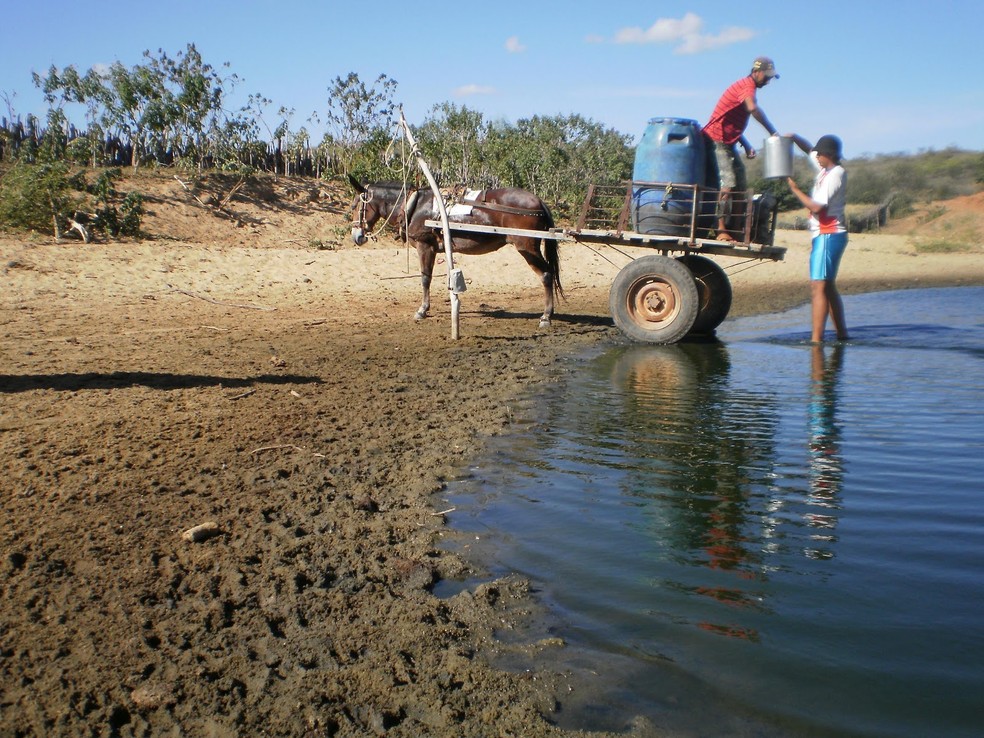 Seca no Piauí agrava situação de dificuldade pela falta de água — Foto: Gustavo Almeida/G1