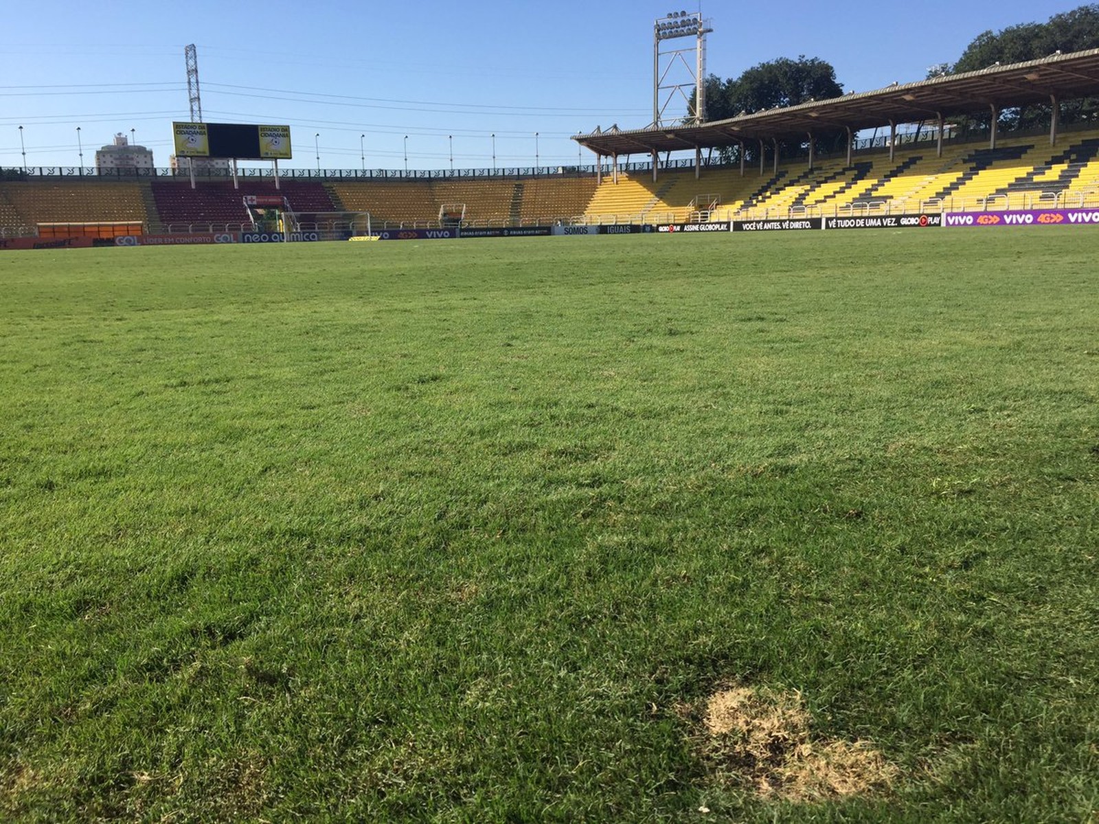 Rubro-Negros atacam gramado; Bruno Silva ironiza: Eles que escolheram