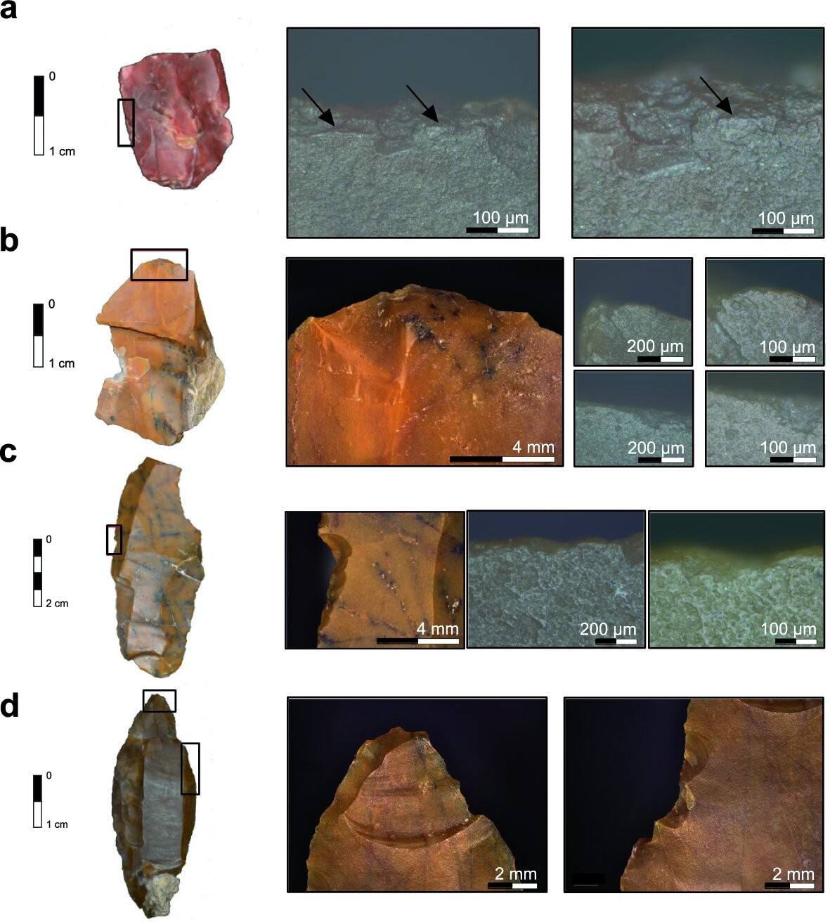 Fotografia das lascas de pedras achadas no sítio arqueológico de Românești na Romênia (Foto: Scientific Reports )