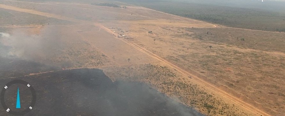 Incêndio que atingiu fazenda em MT matou 15 cabeças de gado — Foto: Defesa Civil