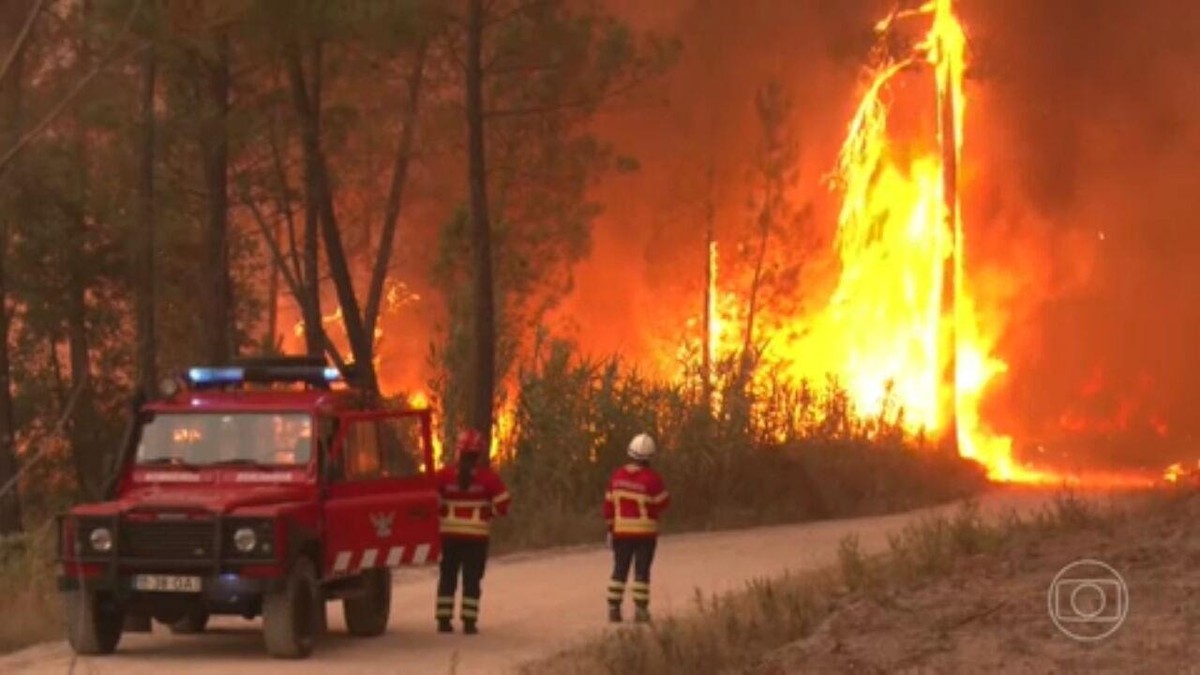 Canicule en Europe : les pays font face à des incendies de forêt, des températures record et la pollution |  Alentours