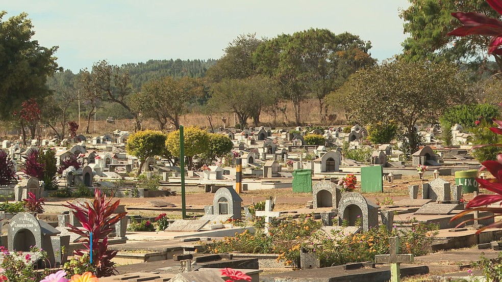 Cemitério do DF em imagem de arquivo — Foto: TV Globo / Reprodução