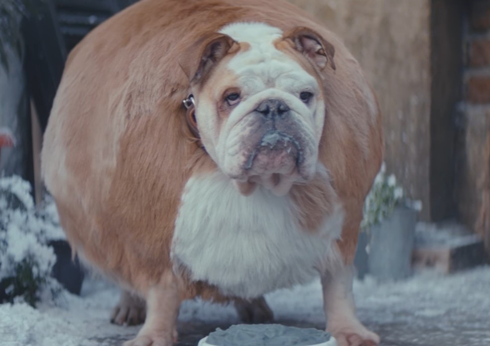 Comercial Alemao Viraliza Ao Abordar Obesidade Bem Estar G1