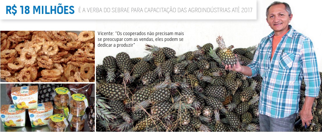 empreender_sebrae_agroindustria_produtor (Foto: Fernando Santos/Itaberaba Notícias)