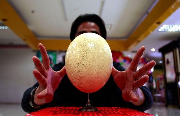 Chinês equilibra ovo de avestruz em agulha (Foto: Darwin Zhou/Reuters) Chinês equilibra ovo de avestruz em agulha (Foto: Darwin Zhou/Reuters)