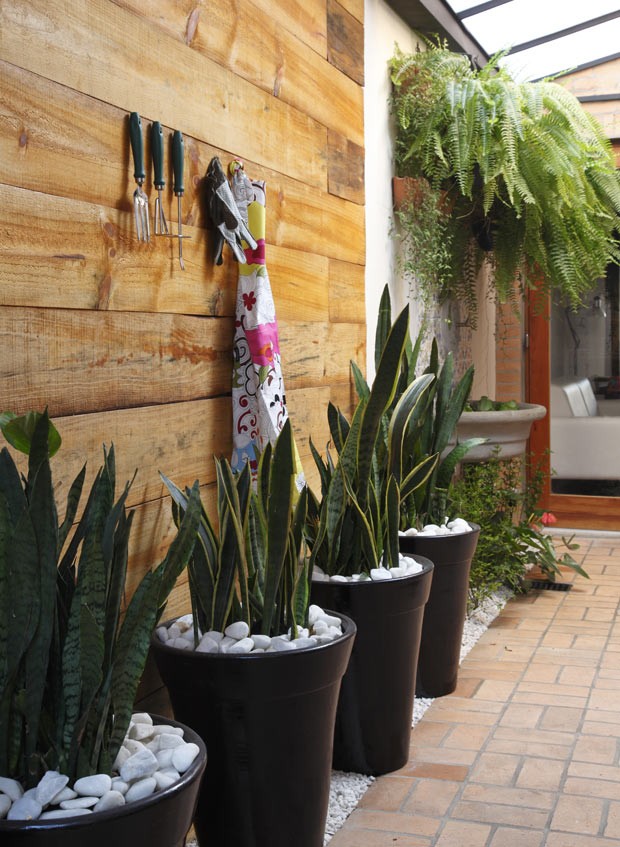 10 ideias para ter um jardim de inverno Casa e Jardim
