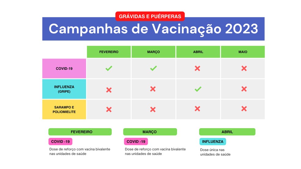 Vacinação de gestantes e puérperas — Foto: Reprodução/Ministério da Saúde