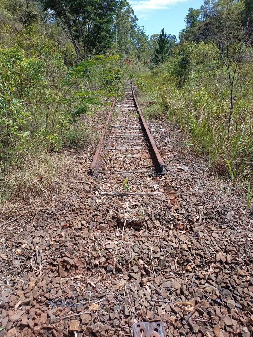 Polícia ainda procura outros quatro suspeitos acusados do furto de linhas férreas em Itatinga — Foto: Polícia Civil/Divulgação