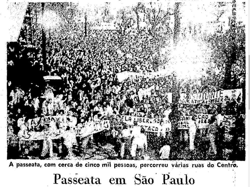 Trecho da edição do GLOBO de 12 de agosto de 1977 — Foto: Reprodução