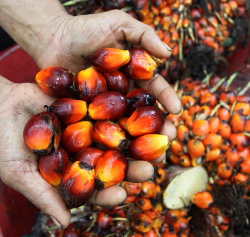 Fruto da palma colhido em fazenda na Indonésia (Foto: Roni Bintang/Reuters)