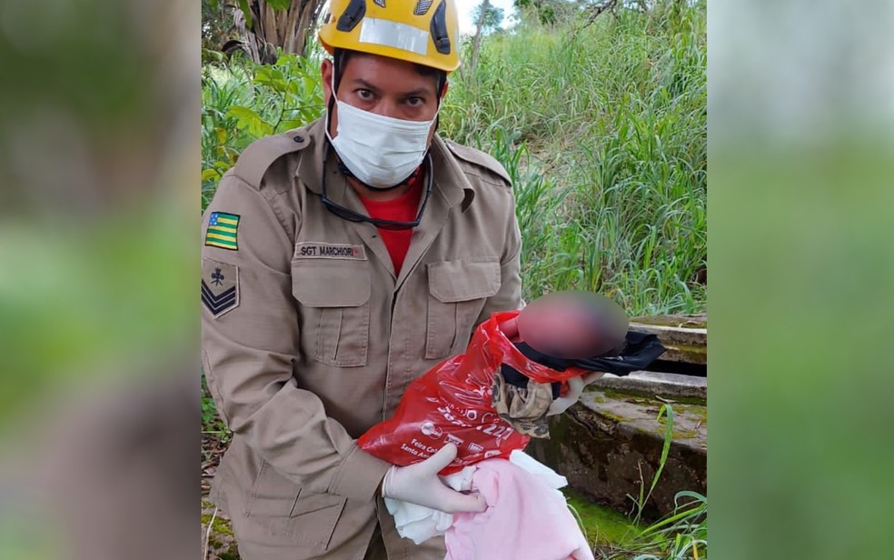 Bebê com cordão umbilical é encontrada abandonada dentro de sacola em lote baldio de Santo Antônio do Descoberto  — Foto: Reprodução/TV Anhanguera 
