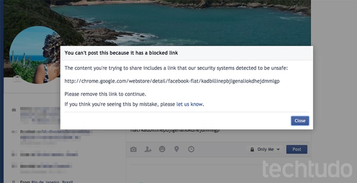 Facebook bloqueia links para plugin Facebook Flat na Chrome Web Store (Foto: Reprodução/TechTudo)