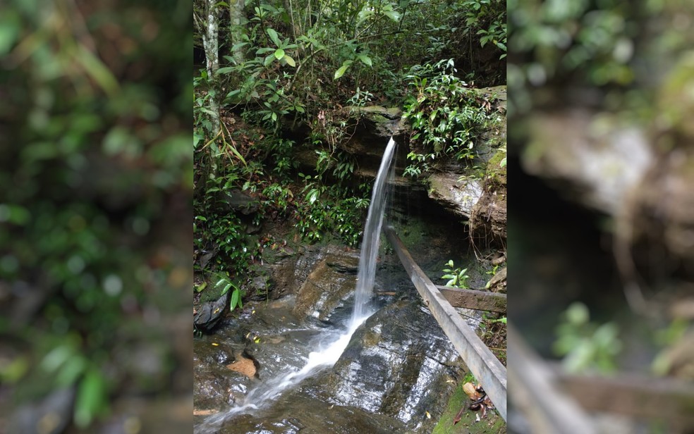 Cachoeira onde o corpo foi achado e que está localizada dentro da propriedade da Casa Dom Inácio de Loyola — Foto: Reprodução/Polícia Civil