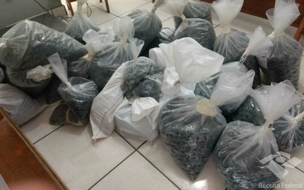 Quase meia tonelada de esmeraldas foram apreendidas   (Foto: Divulgação/Receita Federal)
