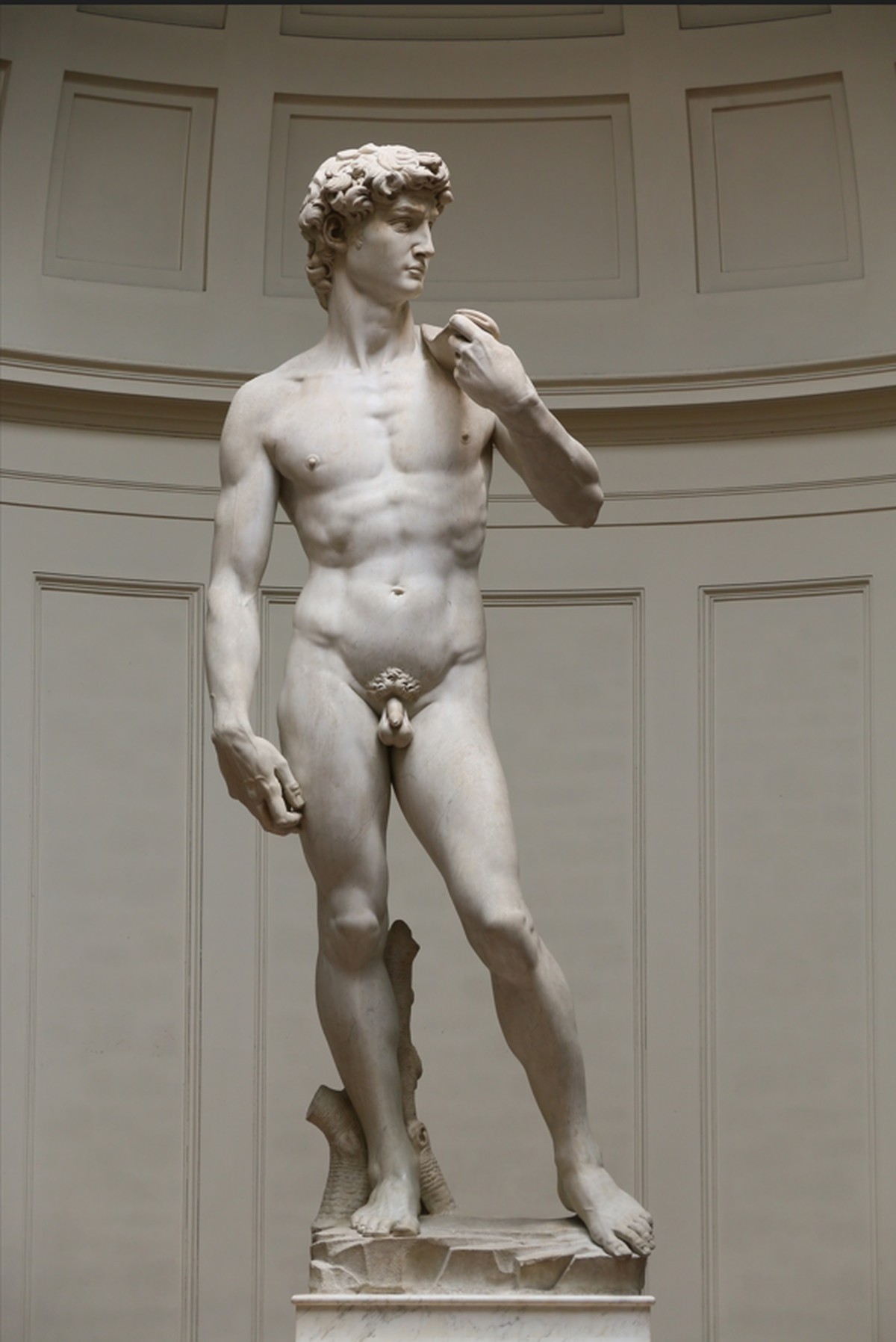 US School Principal Fired After Students View Image Of Michelangelo’s David |  the world