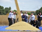 Cercada de políticos, Dilma lança colheita de soja em Mato Grosso