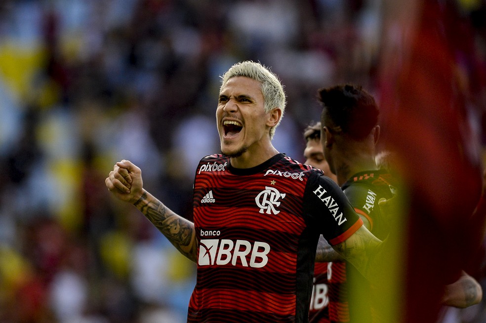 Pedro celebra o gol do Flamengo contra o Goiás — Foto: Marcelo Cortes/Flamengo