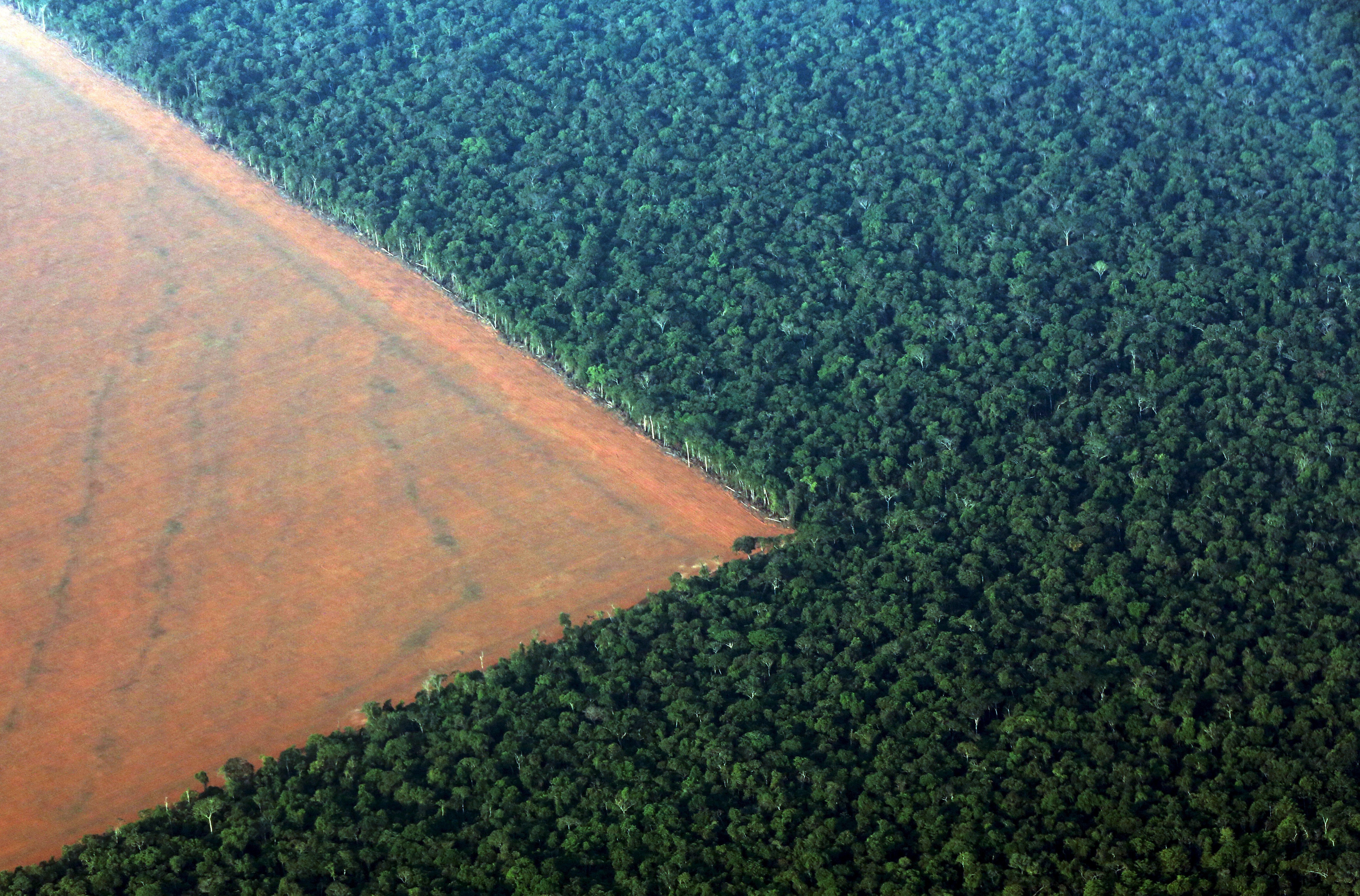 Fronteira entre a floresta amazônica e áreas agrícolas em Mato Grosso 04/10/2015 (Foto: Paulo Whitaker/Reuters)
