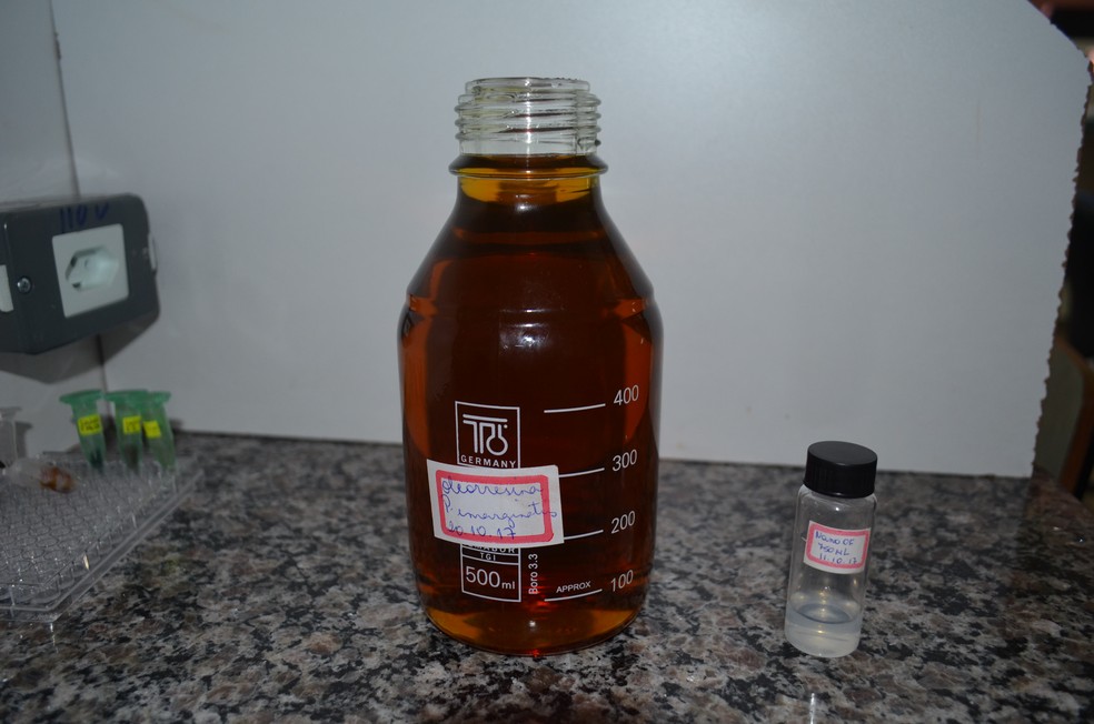 O óleo e a solução final, no refratário menor, que dilui na água (Foto: Rita Torrinha/G1)
