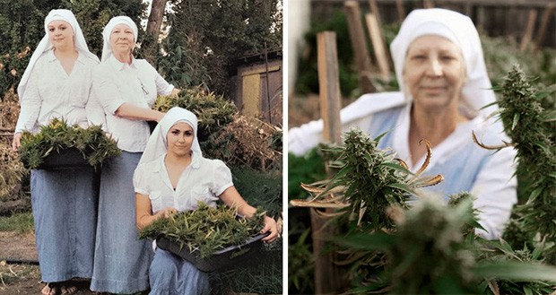 As “irmãs” durante a colheita da planta e o preparo dos produtos derivados da erva (Foto: Shaughn and John)