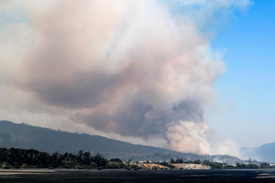 Fumaça sobe de um incêndio em Santa Juana, província de Concépcion, Chile
