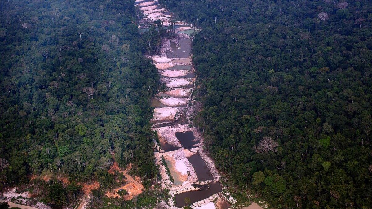 Desmatamento favorece dispersão de malária e Covid-19 na Amazônia (Foto: MARIZILDA CRUPPE / AMAZÔNIA REAL)