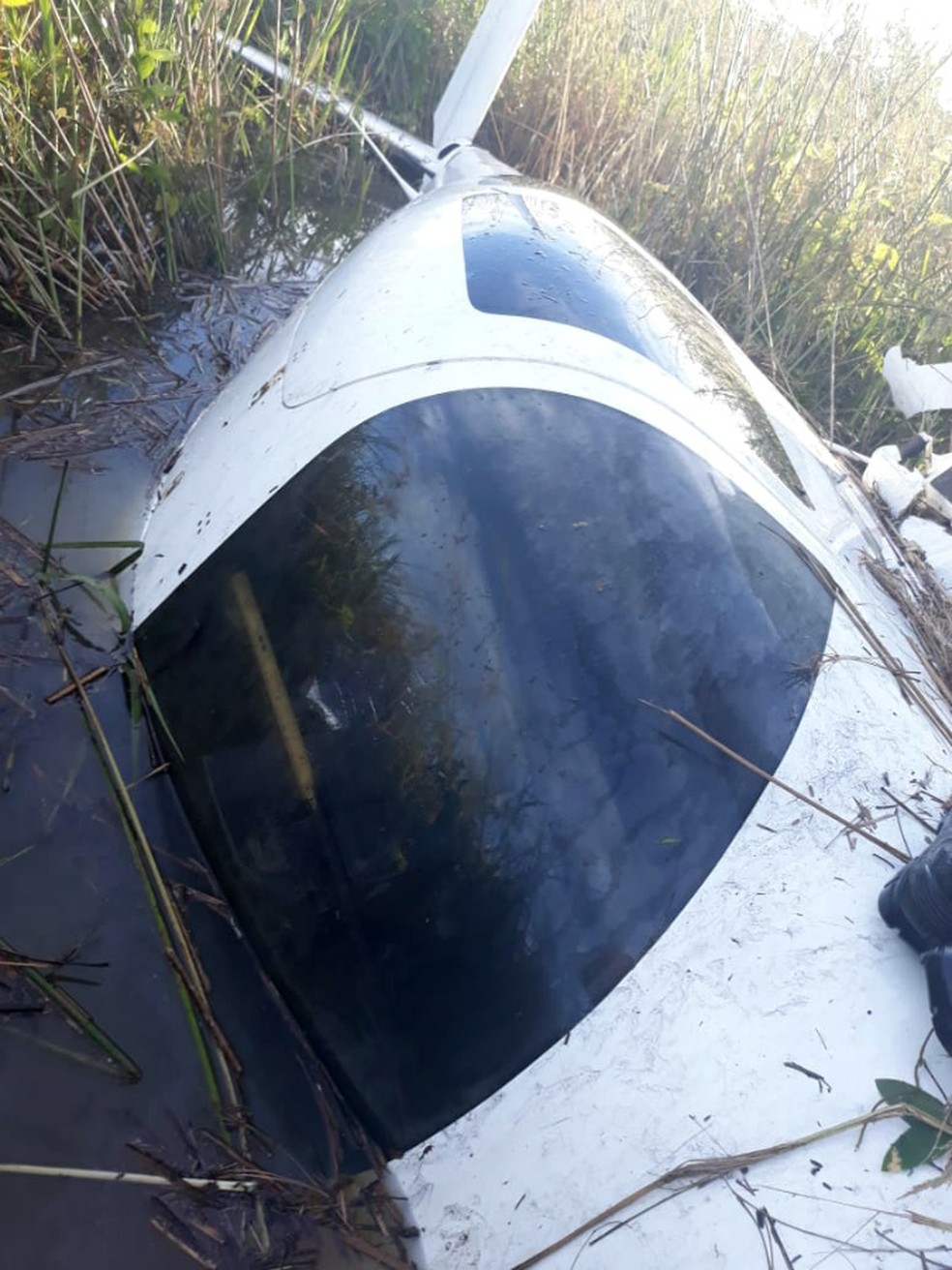 Avião que caiu na área rural de Naviraí, MS, há pelo menos dois dias. — Foto: Polícia Civil/Divulgação