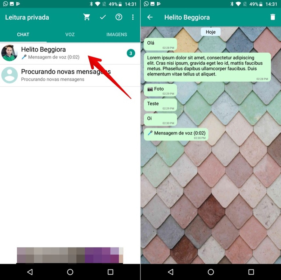 Visualizando mensagens recebidas no WhatsApp com o Private Read — Foto: Reprodução/Helito Beggiora