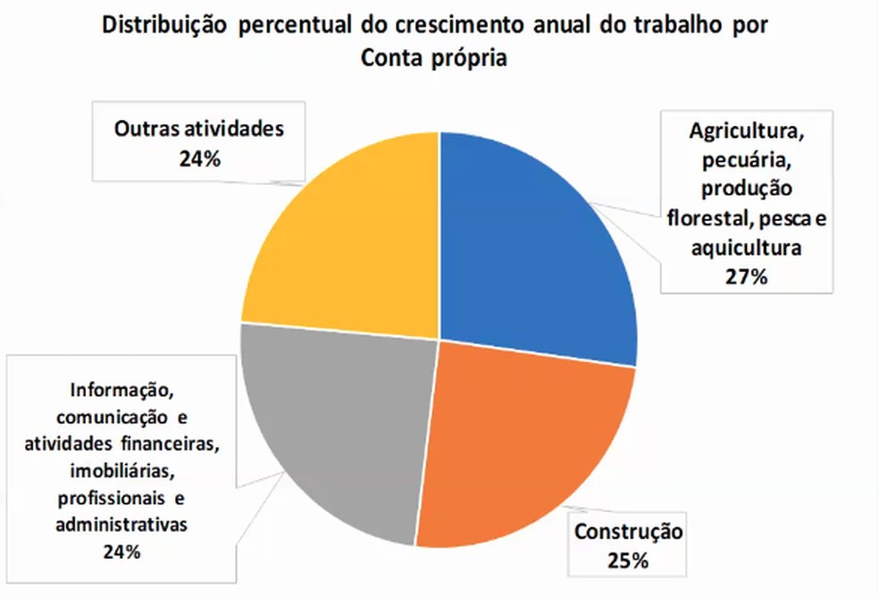 Distribuição do crescimento anual do trabalho por conta própria — Foto: IBGE/Reprodução