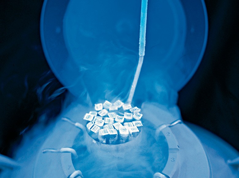 Botijão acondiciona ampolas de sêmen para inseminação artificial de gado (Foto: divulgação)