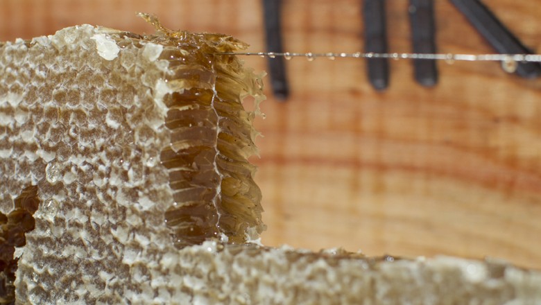 mel-favo-abelha-sebrae (Foto: Rodrigo Czekalski/Ed. Globo)