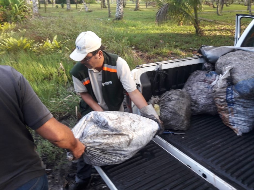 Alguns animais encontrados ainda estavam vivos e foram soltos no habitat natural — Foto: Secretaria de Segurança Pública da Bahia