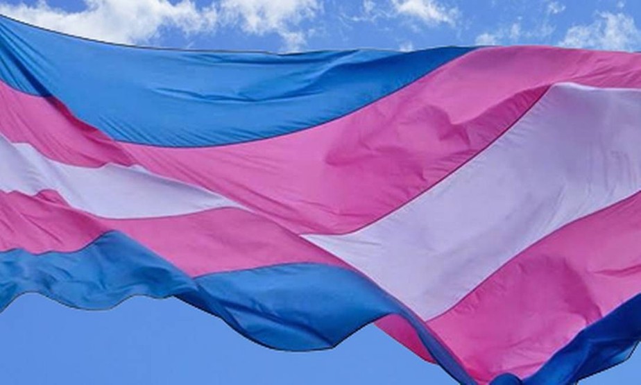 Bandeira transexual