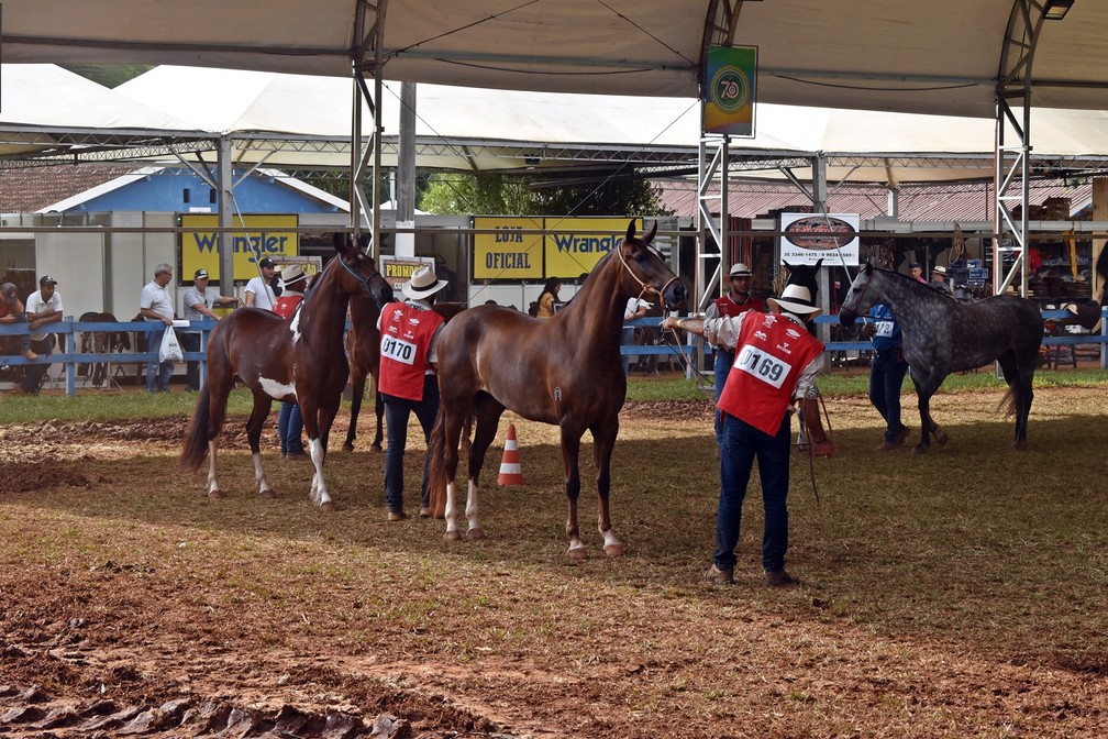 Para organização, evento representa vitrine para animais e criadores — Foto: Lucas Soares / G1