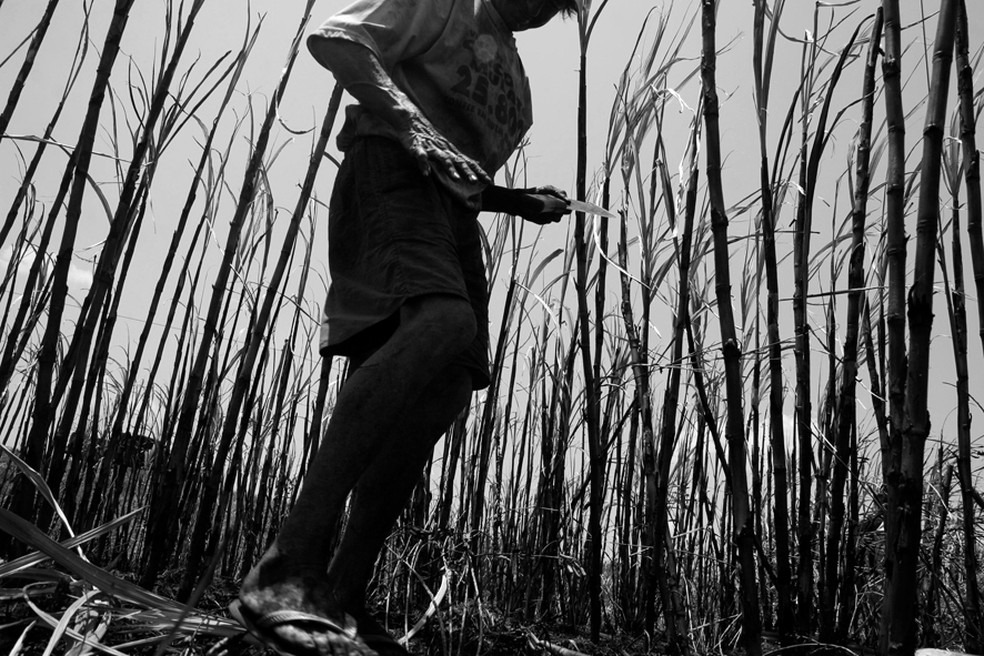 Trabalho escravo â Foto: Foto: SÃ©rgio Carvalho/ Arquivo pessoal