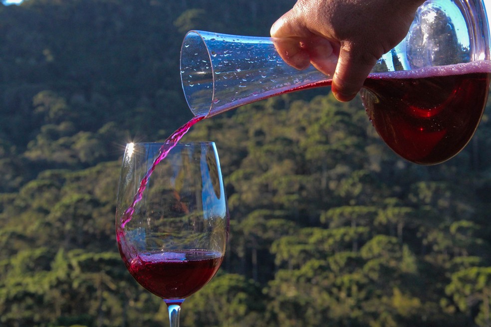 Vinícolas em São Bento do Sapucaí, na Serra da Mantiqueira — Foto: Carlos Santos/G1