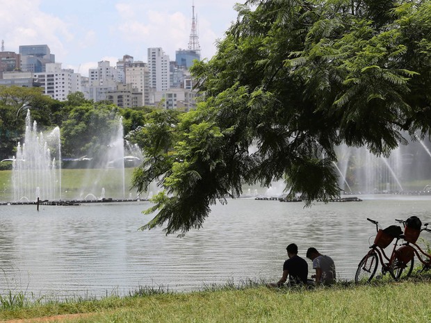 Pessoas se refrescam às margens de lago do parque do Ibirapuera, em São Paulo. A temperatura na cidade chegou a 30ºC nesta quarta-feira (6) (Foto: Renato S. Cerqueira/Futura Press/Estadão Conteúdo)