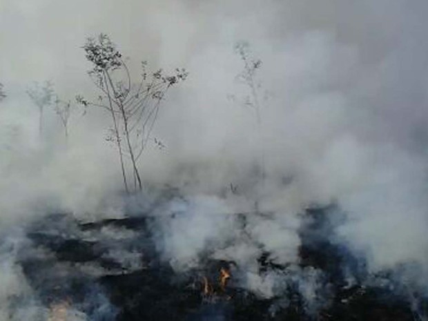 Dez mil litros de água foram utilizados para conter as chamas (Foto: Base Comunitária de Bombeiros/Cedida)