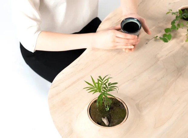 As mesas possuem espaço embutido para plantas (Foto: WOOYOO/ Reprodução)