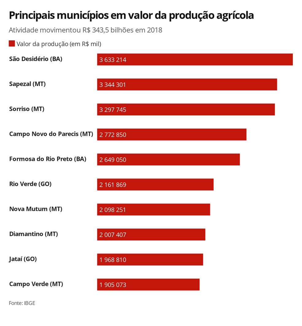 Top-10 municípios produtores, de acordo com o IBGE — Foto: Rikardy Tooge/G1