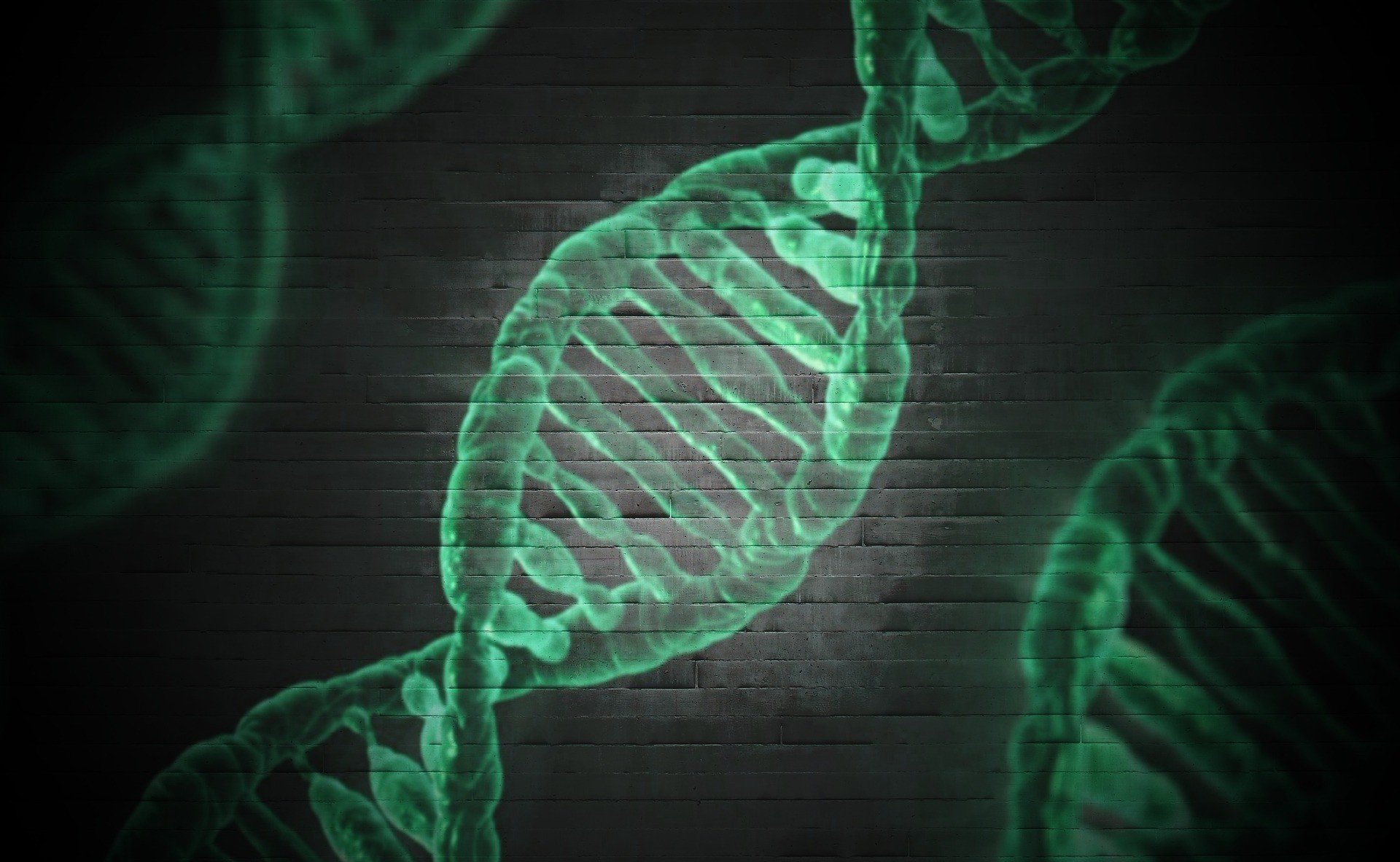 Epigenética considera que fatores ambientais também influenciam em nosso DNA (Foto: Darwin Laganzon/Pixabay)