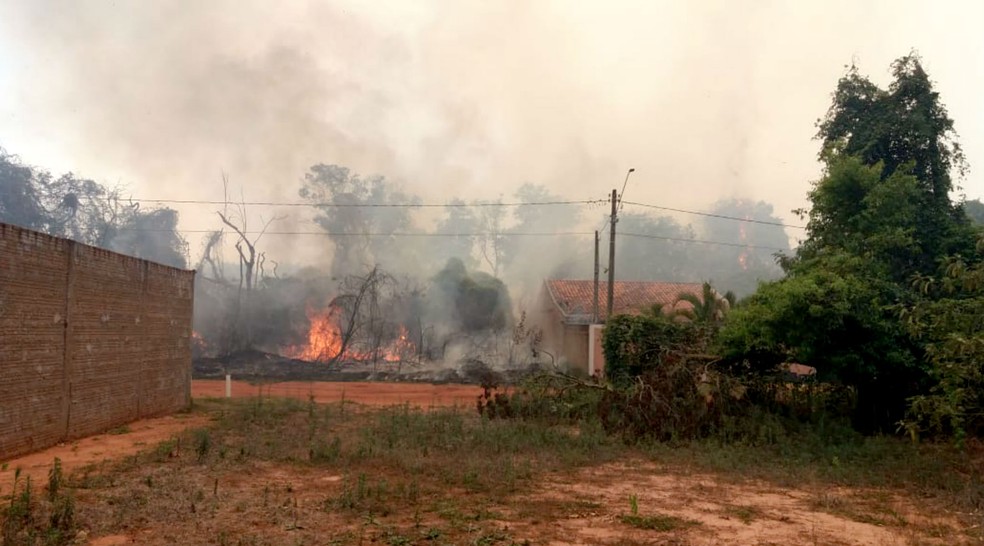Bairro na zona leste de Bauru fica em meio a uma Área de Proteção Ambiental (APA) composta pela vegetação de cerrado — Foto: Arquivo pessoal
