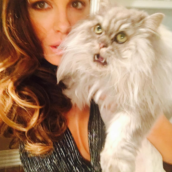 A atriz Kate Beckinsale e seu gato (Foto: Instagram)