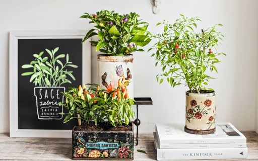 Tudo vira vaso: 25 ideias para criar arranjos com o que você tem em casa -  Casa e Jardim | Dicas