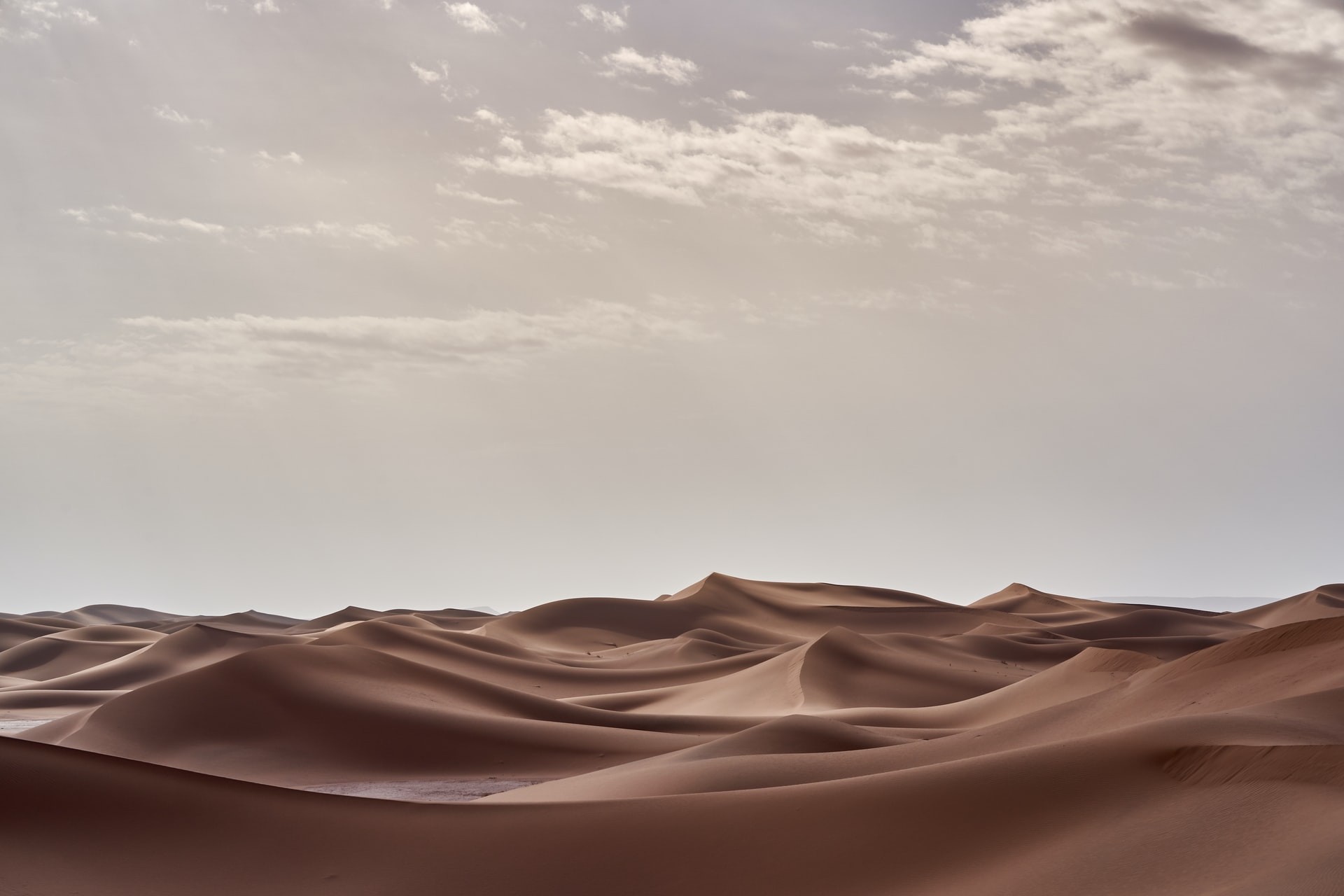  O deserto do Saara na África era completamente verde, descrito mais como uma pastagem (Foto: Wolfgang Hasselman/ Unsplash)