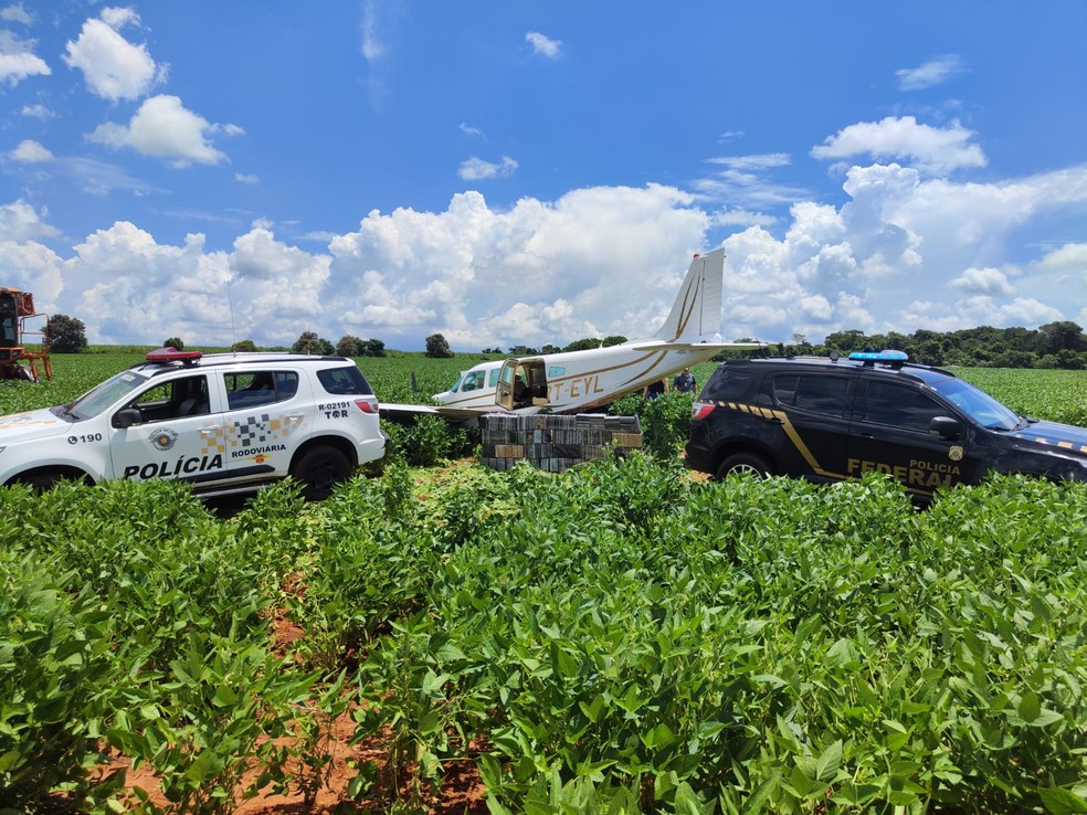 Avião de pequeno porte cai em área rural de Santa Cruz do Rio Pardo — Foto: Polícia Rodoviária/Divulgação